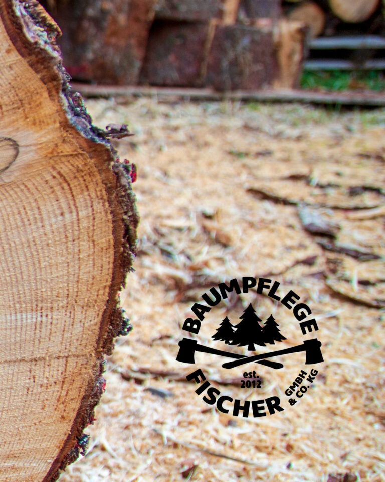 Fischer_Referenzen10