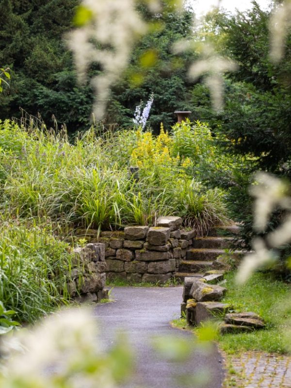 Natursteinmauer und Treppe in einem Park